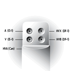 ICD-DR DDMB2D1 EVERA MRI XT OUS DF1