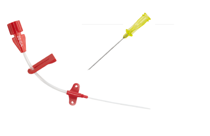 NEEDLE ASCENDA CATHETER 15.2 cm (6 in)