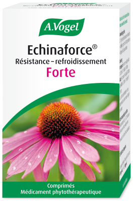 Echinaforce Resistenz-Erkältung forte, Tabletten