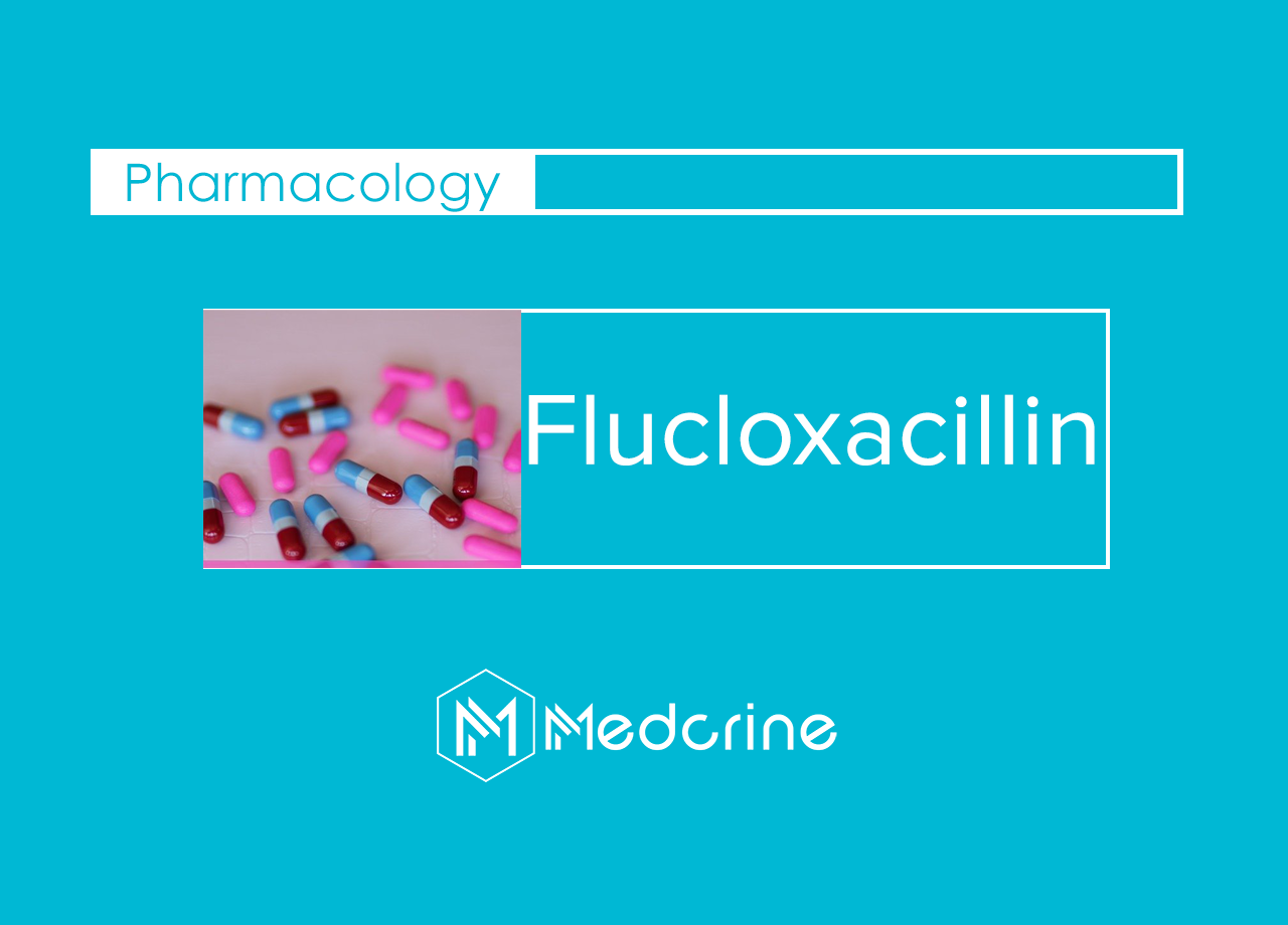Flucloxacilline Stragen 1 g, poudre pour solution injectable / pour perfusion