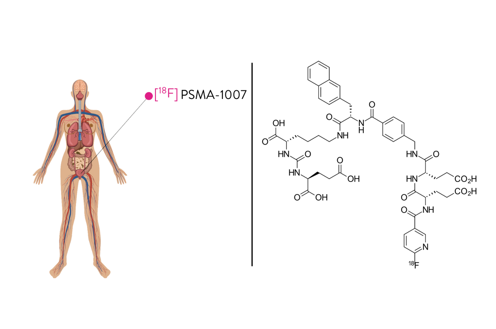 18F-PSMA-1007 ZRP ≥ 40 MBq / mL, Injektionslösung
