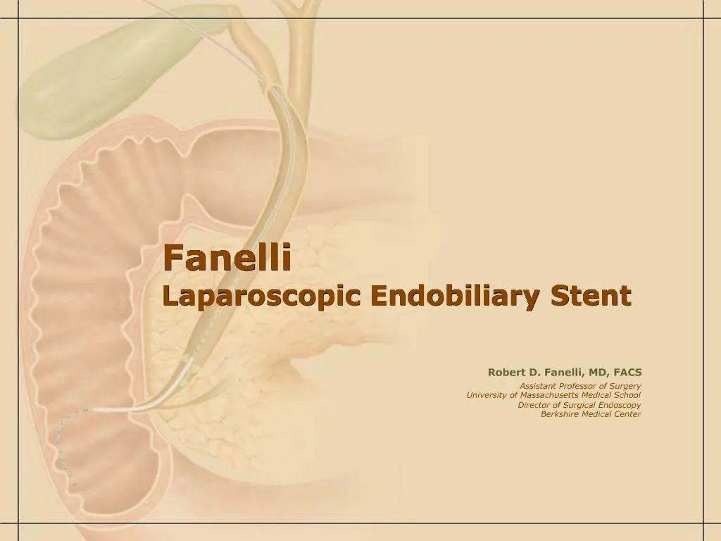 Fanelli Laparoscopic Endobiliary Stent Set, 1 Set
