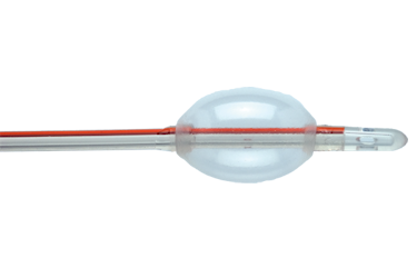 Universa Silicone Foley Catheter, 1 Each