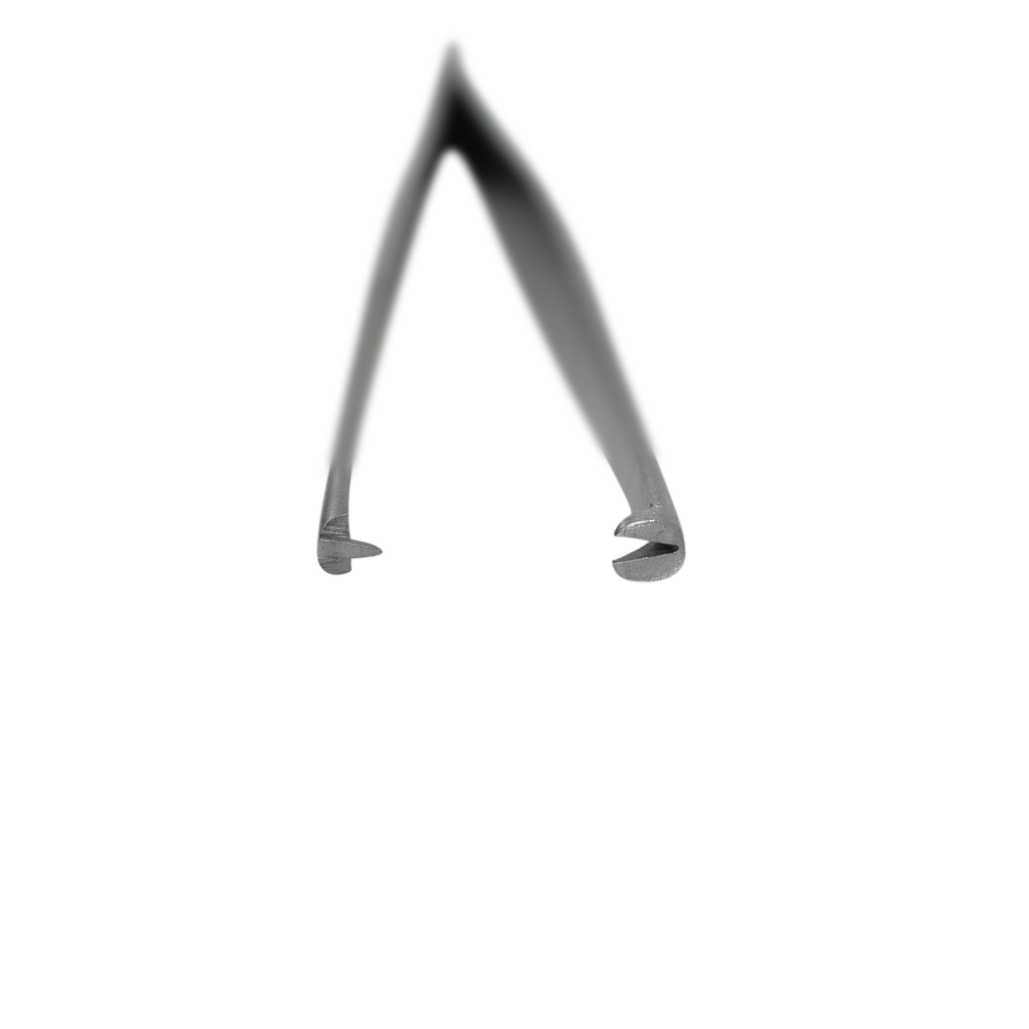 Maxum Forceps Rat Tooth, 1 Each