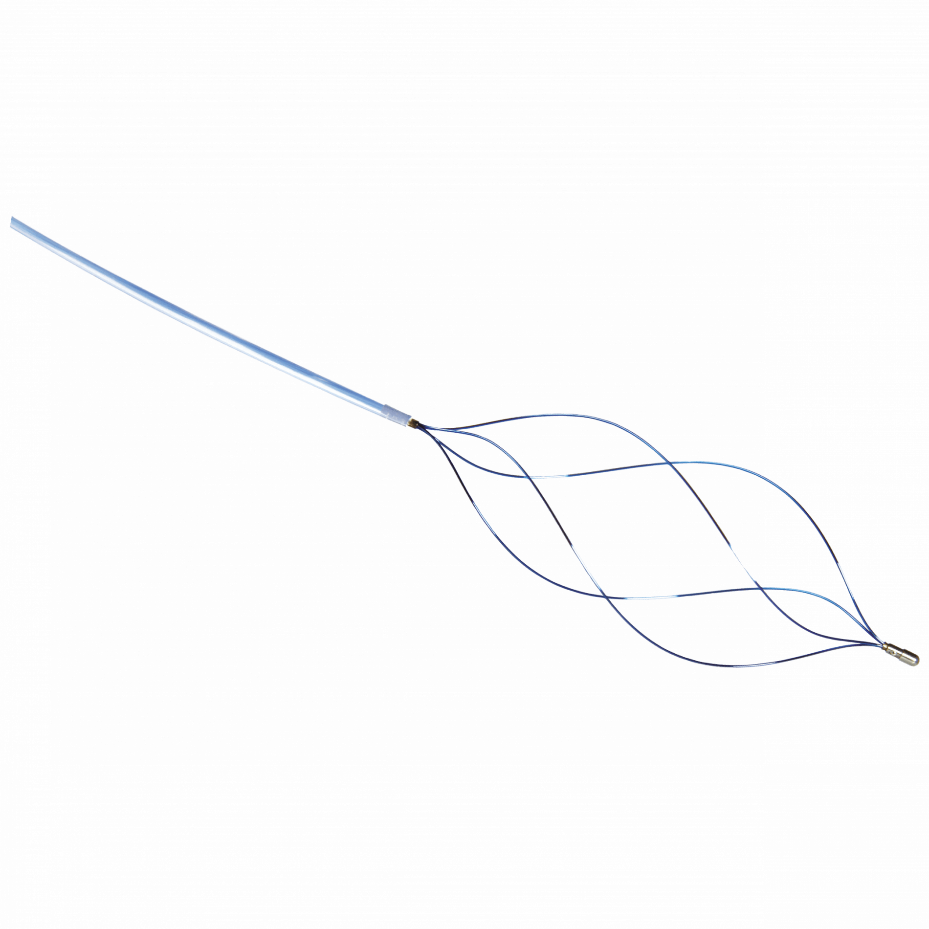 Fusion Wire Guided Extraction Basket, 1 Each