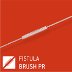 Cook Fistula Brush, 1 Each